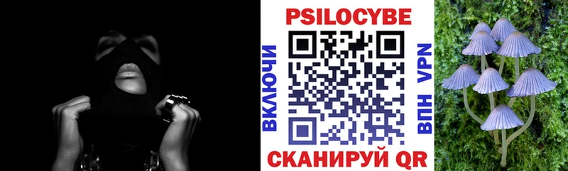Купить где  Покров  Галлюциногенные грибы прущие грибы 